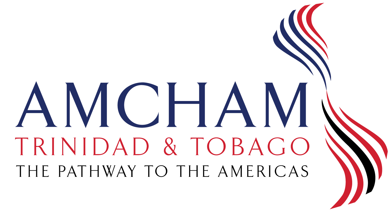 AMCHAM TT